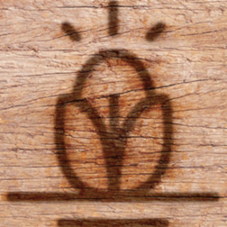 4 Tips for Developing Your Brand